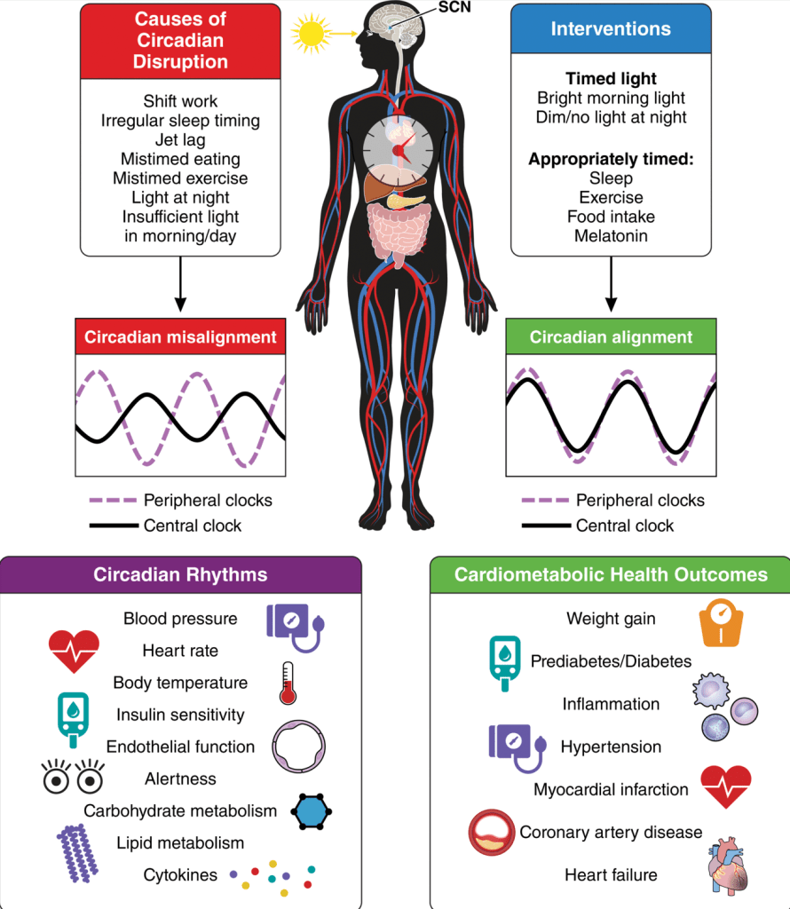 American Heart Association acknowledges Circadian health