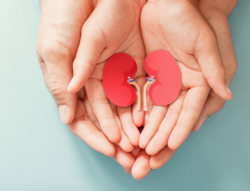 How to Protect Your Kidneys Naturally: The Silent Kidney Crisis & The Circadian Health Approach